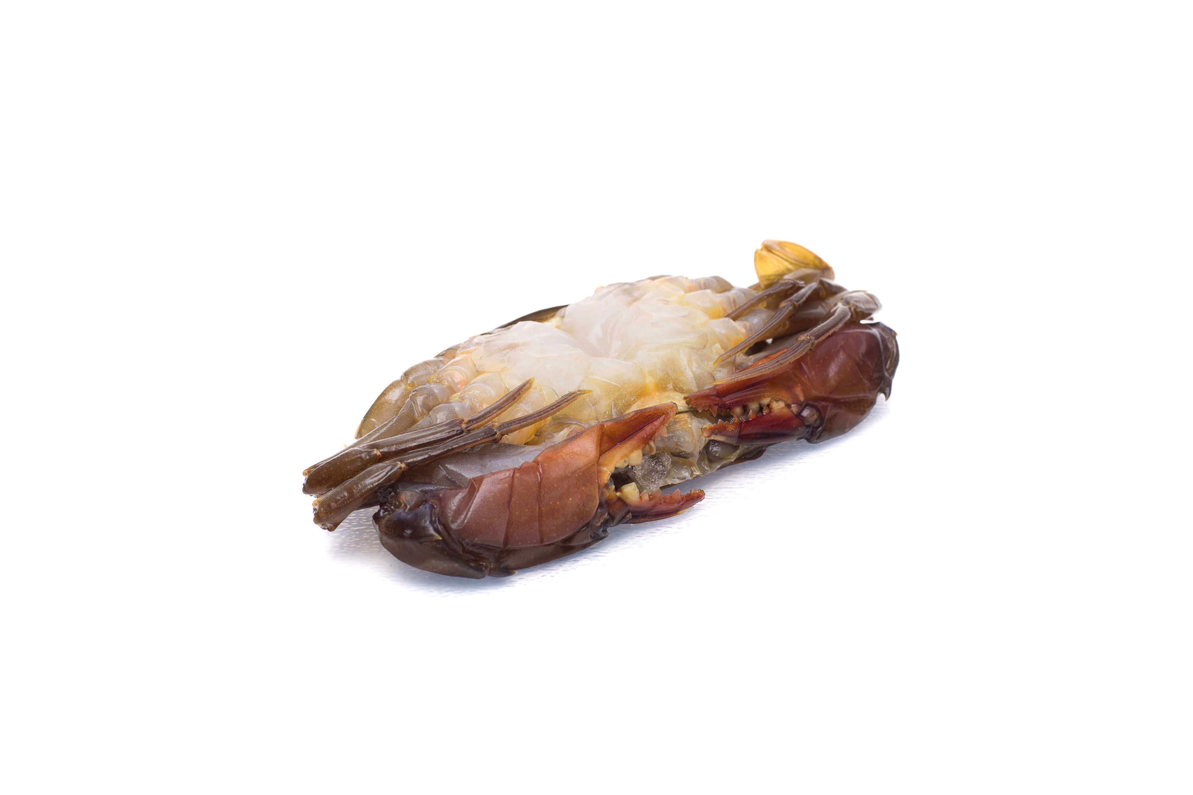 Soft Shell Crab Interseafish